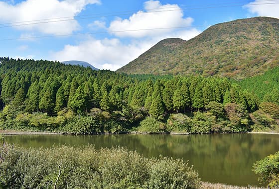 お玉が池・箱根の森