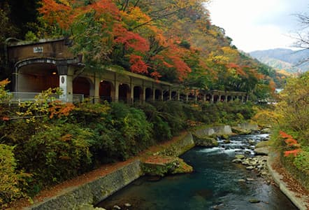 山道と蛙の滝