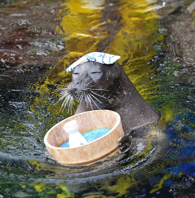 水族館