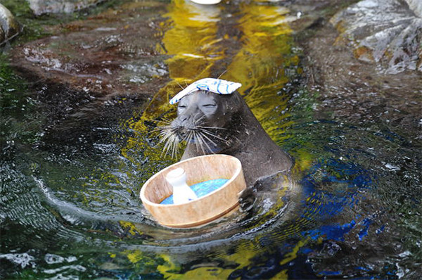 箱根園水族館