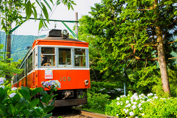 箱根登山電車